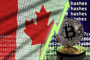 bandera de canadá y flecha verde ascendente en la pantalla de minería bitcoin y dos bitcoins dorados físicos foto