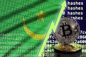 bandera de mauritania y flecha verde ascendente en la pantalla de minería bitcoin y dos bitcoins dorados físicos foto