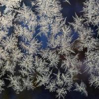 Snowflakes frost rime macro on window glass pane photo
