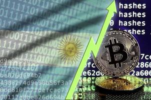 bandera argentina y flecha verde ascendente en la pantalla de minería bitcoin y dos bitcoins dorados físicos foto