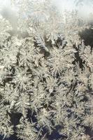 Snowflakes frost rime macro on window glass pane photo