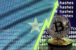 bandera de somalia y flecha verde ascendente en la pantalla de minería bitcoin y dos bitcoins dorados físicos foto