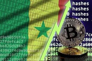 bandera de senegal y flecha verde ascendente en la pantalla de minería bitcoin y dos bitcoins dorados físicos foto