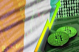 Ivory Coast flag and cryptocurrency growing trend with two bitcoins on dollar bills and binary code display photo