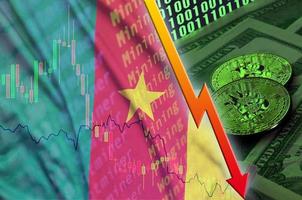 Cameroon flag and cryptocurrency falling trend with two bitcoins on dollar bills and binary code display photo