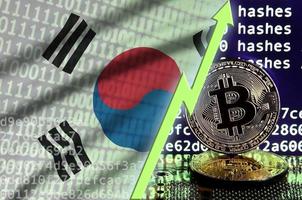 bandera de corea del sur y flecha verde ascendente en la pantalla de minería bitcoin y dos bitcoins dorados físicos foto