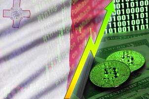Malta flag and cryptocurrency growing trend with two bitcoins on dollar bills and binary code display photo