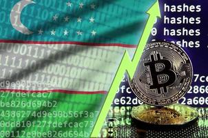 bandera de uzbekistán y flecha verde ascendente en la pantalla de minería bitcoin y dos bitcoins dorados físicos foto