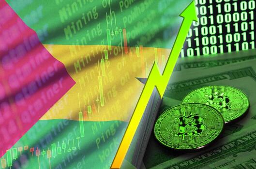 Sao Tome and Principe flag and cryptocurrency growing trend with two bitcoins on dollar bills and binary code display photo