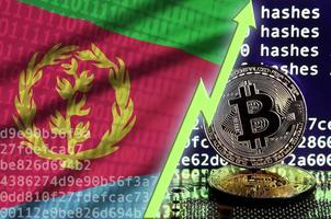 bandera de eritrea y flecha verde ascendente en la pantalla de minería bitcoin y dos bitcoins dorados físicos foto