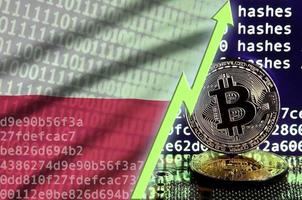 Poland flag and rising green arrow on bitcoin mining screen and two physical golden bitcoins photo