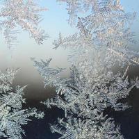 Snowflakes frost rime macro on window glass pane photo
