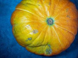 Big pumpkin on a dark background. Vegetables on the table. Preparing for Halloween. Cooking. photo