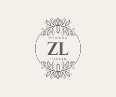 colección de logotipos de monograma de boda con letras iniciales zl, plantillas florales y minimalistas modernas dibujadas a mano para tarjetas de invitación, guardar la fecha, identidad elegante para restaurante, boutique, café en vector