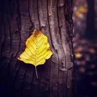 One yellow leaf lies alone on a tree trunk photo
