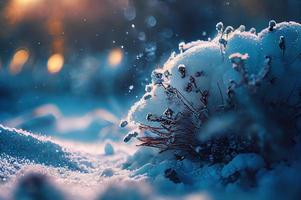 Winter background of snow and frost photo