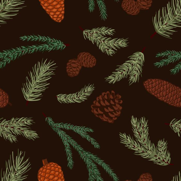 Pine Cone Vector Art, Icons, and Graphics for Free Download