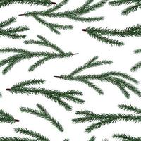 Set of conifer branches vector seamless pattern. Pine, spruce, cedar, larch, fir tree branches, winter nature texture for textile, print, card, christmas, greetings, wallpapers, background