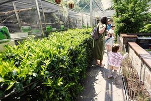 Mother with children visit parrot zoo in sunny day. photo