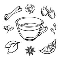 conjunto de ilustraciones de té de hierbas vectoriales de contorno blanco y negro, taza de té y menta, manzanilla, frambuesa, limón, canela, clavel, anís vector