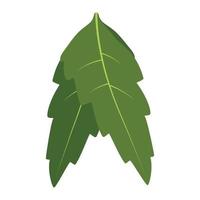 diseño plano de hojas de neem. vector