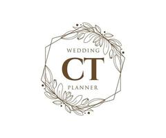 colección de logotipos de monograma de boda con letras iniciales de ct, plantillas florales y minimalistas modernas dibujadas a mano para tarjetas de invitación, guardar la fecha, identidad elegante para restaurante, boutique, café en vector