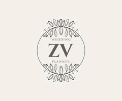 colección de logotipos de monograma de boda con letras iniciales zv, plantillas florales y minimalistas modernas dibujadas a mano para tarjetas de invitación, guardar la fecha, identidad elegante para restaurante, boutique, café en vector