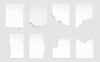 Notebook sheets with torn edge. Ragged blank pages vector