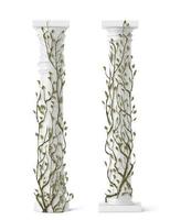 Ivy on marble column, vines with green leaves vector