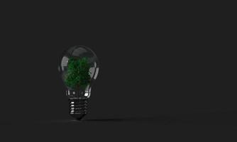 lamp lightbulb inside tree palm leaf natural environment plant symbol business creative idea strategy innovation technology energy power life future solar alternative save earth world global climate photo