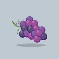 ilustración de fruta de uva en diseño de vector plano
