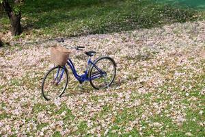 Vintage bicycle on green lawn with autumn leaves photo