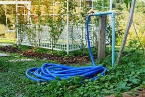 el grifo está conectado a la tubería de pvc. y correa de caucho azul para regar las flores del jardín. enfoque suave y selectivo. foto