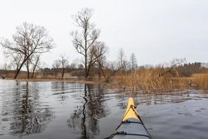 Flooded Meadows in Spring photo