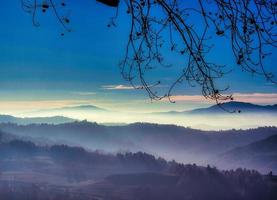 The colors of the Langhe in autumn in Serralunga D Alba photo