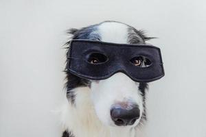 Funny portrait of cute dog border collie in superhero costume isolated on white background. Puppy wearing black super hero mask in carnival or halloween. Justice help strenght concept. photo
