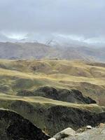 montañas de terciopelo amarillo de altai, rusia foto