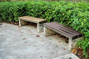 Old brown wood bench on cement floor and embrace behind by tree. photo