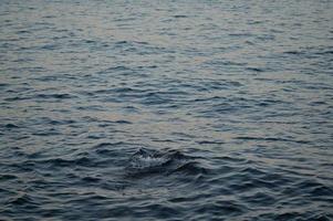 Sea water, small wave, calm clear water, photo