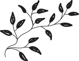 leaf line art vector