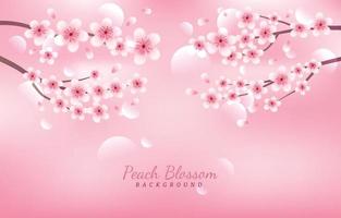 Peach Blossom Flowers Cute and Girlie Background Concept vector