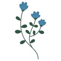 Field flower. Branch with flowers. A delicate sprig of flowers. Vector wildflower. Minimalistic sprig of flowers.