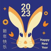 Chines rabbit vector illustration