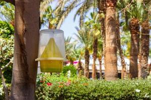 plastic bird feeder filled with assorted seed and grain on tree photo