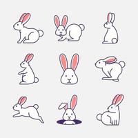 conjunto de iconos de conejo vector