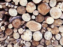 tree stumps background. ends of logs wooden background. toning. wood in the stack. Pile of wood logs ready for winter photo