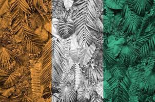 bandera de costa de marfil representada en muchas hojas de palmeras monstera. telón de fondo de moda foto