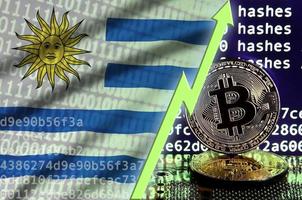 bandera de uruguay y flecha verde ascendente en la pantalla de minería de bitcoin y dos bitcoins dorados físicos foto