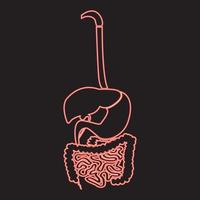 Neon digestive system red color vector illustration image flat style