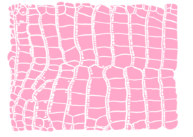 patrón de cocodrilo rosa png